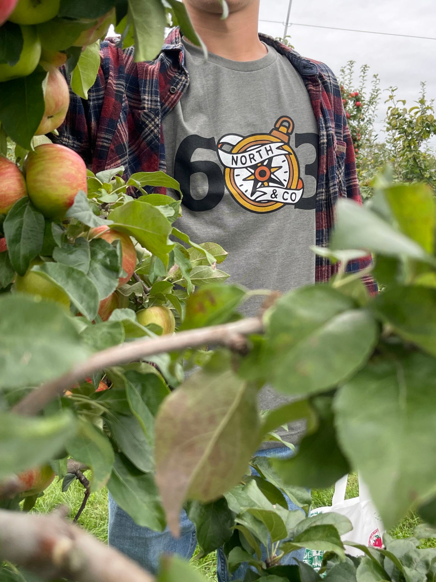 An apple picker wears the military green compass t-shirt on a Fall day.